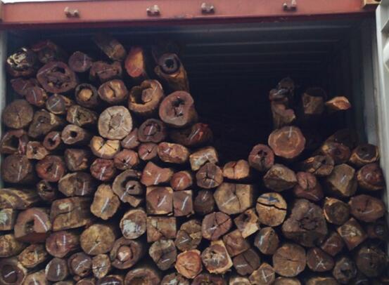 进口木材《濒危物种证明》办理流程