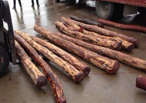 缅甸木材进口代理装卸现场