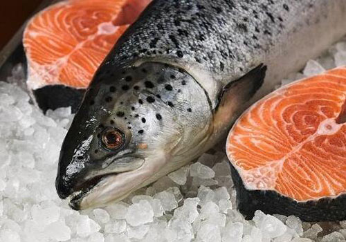新西兰三文鱼进口到国内市场