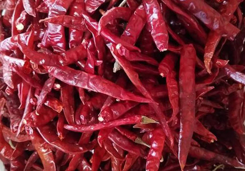 印度进口辣椒广泛应用于火锅底料、餐饮配料