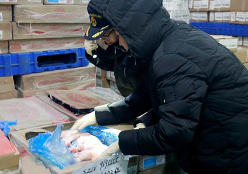 海关对俄罗斯进口鸡肉检验检疫